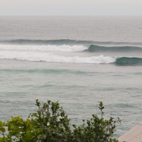 DSC_0554