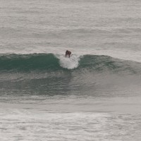 DSC_0601