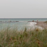 DSC_3257